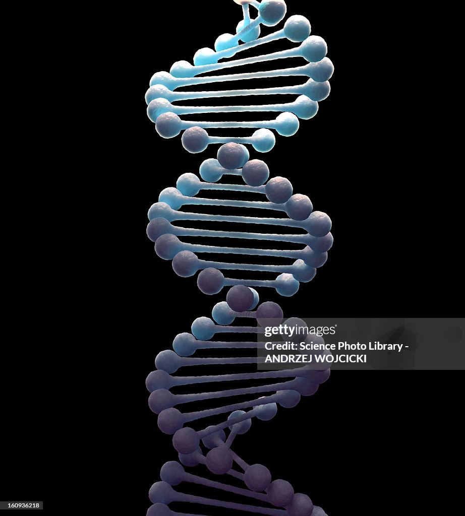 DNA molecule, artwork