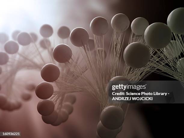 dna molecule, artwork - molecule stock illustrations