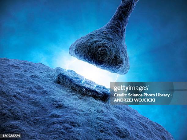 synapse, artwork - zentralnervensystem stock-grafiken, -clipart, -cartoons und -symbole
