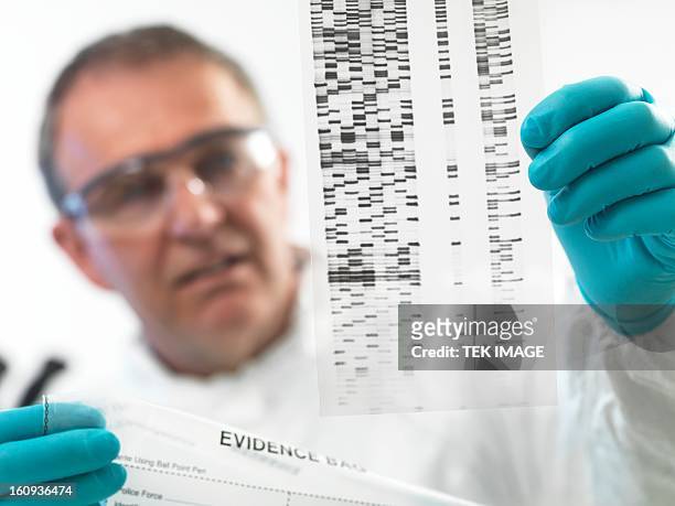 forensic science - crime lab stock pictures, royalty-free photos & images