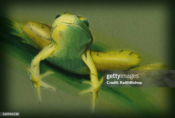 frog leaping - frog jumping stock illustrations