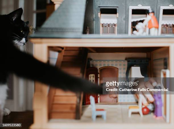 a little girl looks through the doorway of a dolls house filled with furniture and miniature dolls - skimpy girls stock pictures, royalty-free photos & images