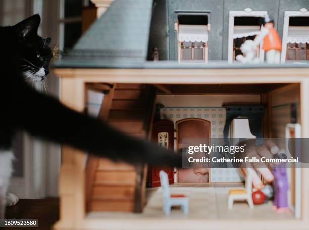 a little girl looks through the doorway of a dolls house filled with furniture and miniature dolls - miniature dollhouse bildbanksfoton och bilder