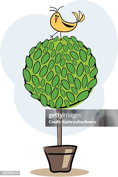 tree bird - topiary stock illustrations