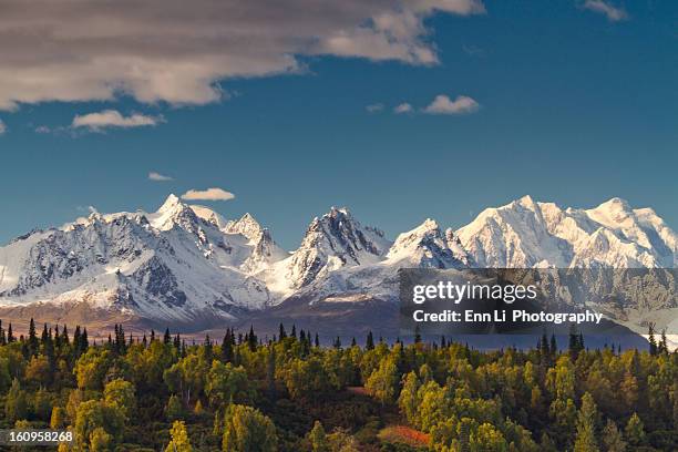 mt. mckinley- alaska - alaska stock pictures, royalty-free photos & images