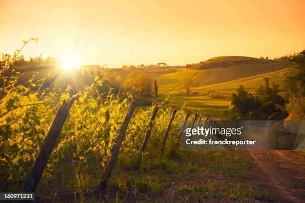 chianti-region hills bei sonnenuntergang in der toskana, italien - vineyards stock-fotos und bilder