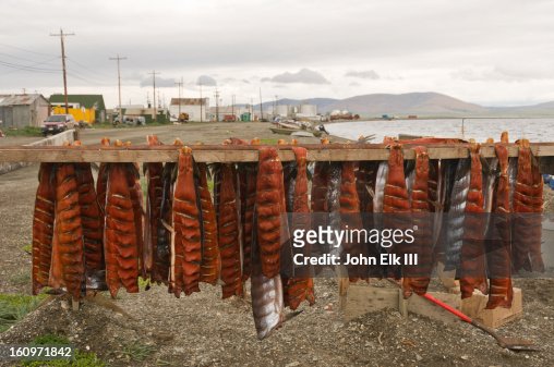 Salmon hung to dry