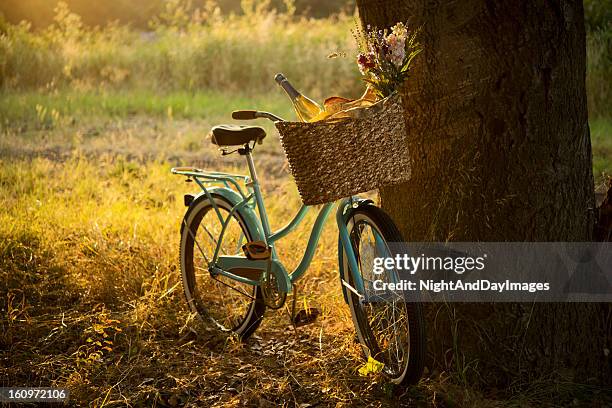 retro bicycle with wine in picnic basket - xxxl - country style stockfoto's en -beelden