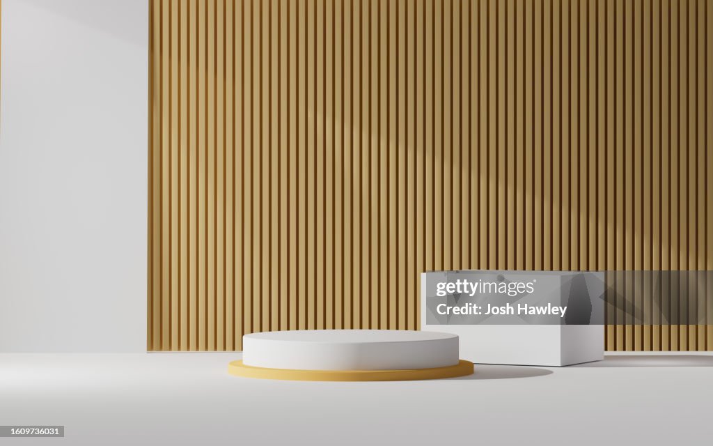 3D rendering exhibition background
