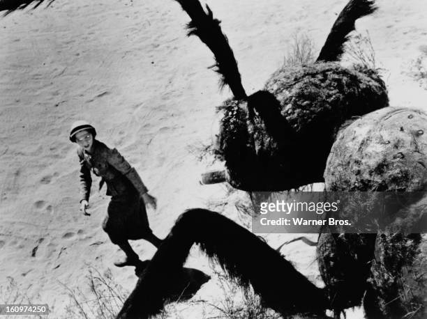American actress Joan Weldon as Dr. Patricia Medford, being terrorised by a giant mutant killer ant in a scene from the film 'Them!', 1954.