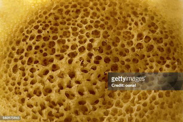 warped celled organic structure - human bone stock pictures, royalty-free photos & images