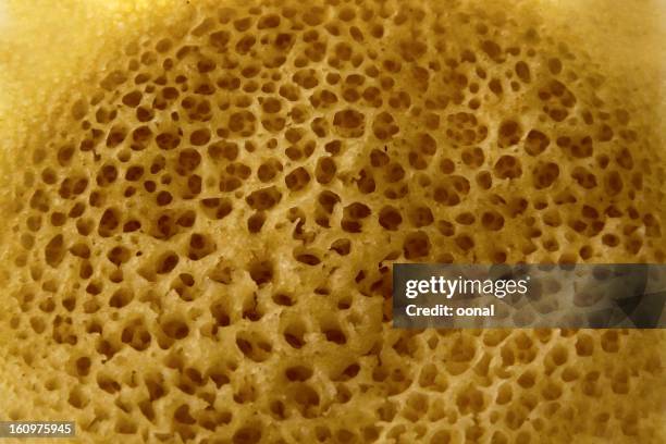 warped celled estrutura orgânica - poroso - fotografias e filmes do acervo