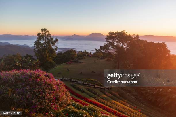 huai nam dang national park and the beautiful morning sunrise with beautiful sea mist that is known as the land of the mist, there are areas covering both chiang mai provinve and pai district, mae hong son provinve, at north of thailand - stock photo - mae hong son province stock pictures, royalty-free photos & images