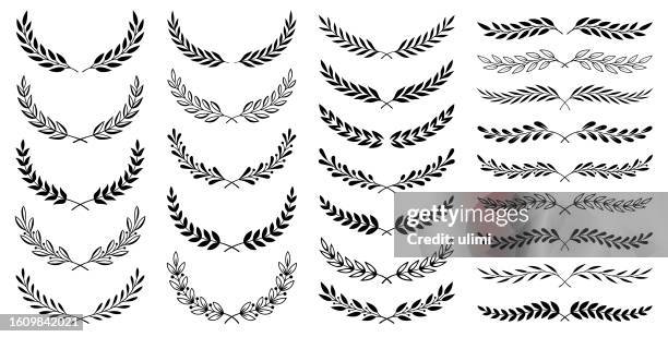 illustrazioni stock, clip art, cartoni animati e icone di tendenza di corone e divisori floreali - alloro