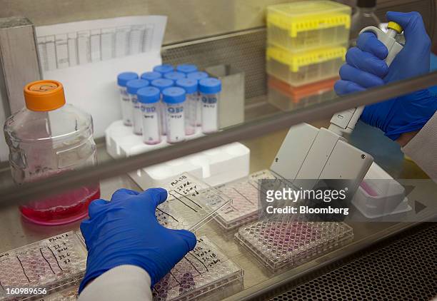 Research technician Michael Gibson cultivates human cell samples for vaccine studies in the vaccine research laboratory at the Mayo Clinic medical...