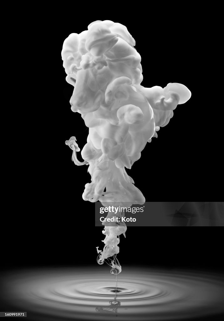 Smoke forming poodle face