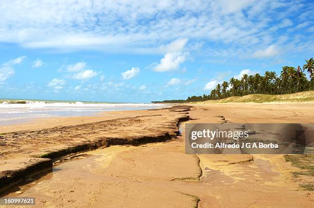 coruripe beach - alagoas stock pictures, royalty-free photos & images