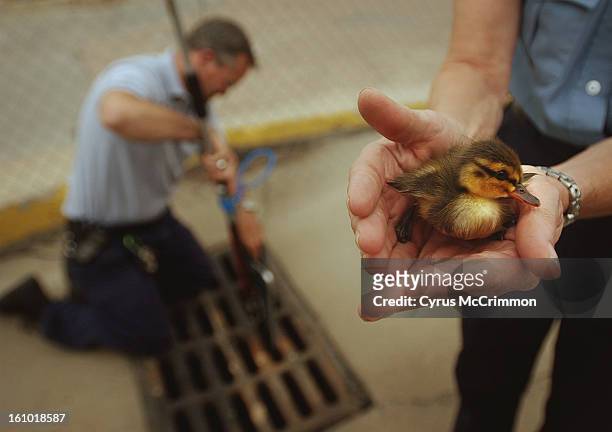 Wednesday-6/18/03 Senior Animal Care officer with the city of Aurora's Animal Care Division <cq> Dale <cq> Keith <cq>, who has been investigating the...