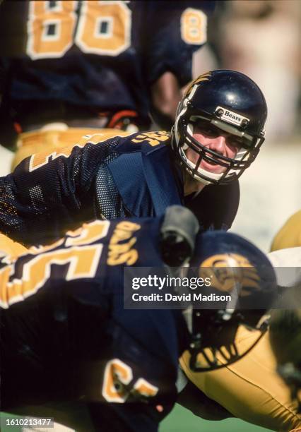 104 Gale Gilbert Stock Photos, HighRes Pictures, and Images Getty Images