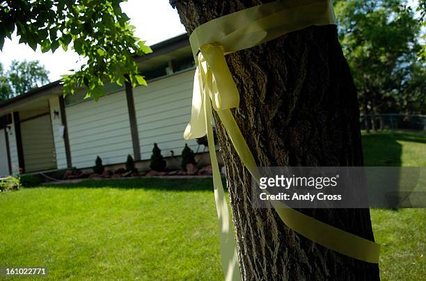 6th 2005--A yellow ribbon tied around a tree at the home of Navy Seal, Petty Officer 2nd Class, Danny Dietz, in Littleton who was killed recently in...