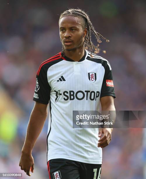 Bobby Reid of Fulham during the Premier League match between Everton FC and Fulham FC at Goodison Park on August 12, 2023 in Liverpool, England.