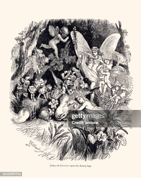 midsummer night's dream by william shakespeare (xxxl with many details)) - fairy stock illustrations