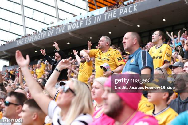 Wolves Fan Cast 31,866 Wolves Fans Stock Photos, High-Res Pictures, and Images - Getty ...