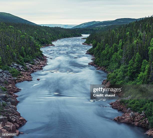 flowing river - newfoundland and labrador stock pictures, royalty-free photos & images