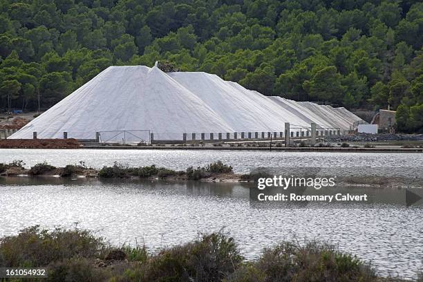 vast piles of sea salt harvested from salt flats - salt flats stock-fotos und bilder