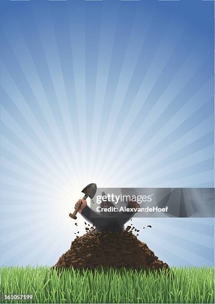 mole aufstellen über den rasen - maulwurf stock-grafiken, -clipart, -cartoons und -symbole