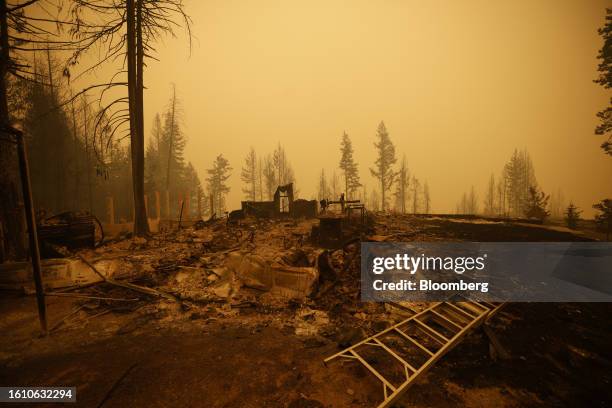 Property and homes razed by a wildfire in Celista, British Columbia, Canada, on Saturday, Aug. 19, 2023. Record-breaking wildfires in Canada, which...