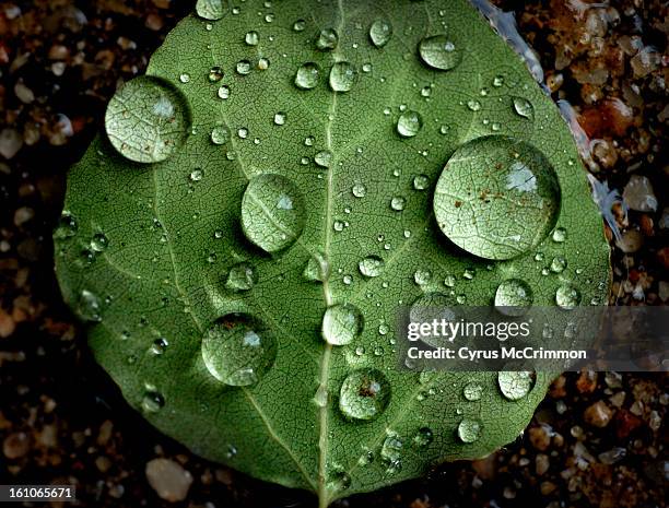 Pooled Water Photos and Premium High Res Pictures - Getty Images