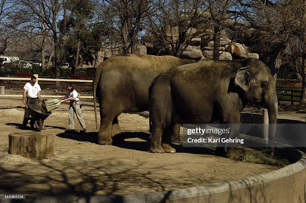 (KG) SUSTAIN -- DENVER, CO (APRIL 19, 2007) -- Denver Zoo elephant keepers Dave Johnson, left, and Barb Jenkermeier, right, remove waste produced by two Denver Zoo female asian elephants named Dolly and Mimi. The zoo estimates that the elephants produce 5