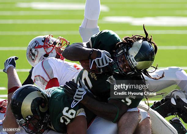 Sp16fbcCSUNM-- CSU RB Gartrell Johnson dives for first down in the 1st quarter of the game against New Mexico at Hughes Stadium on Saturday. CSU won...