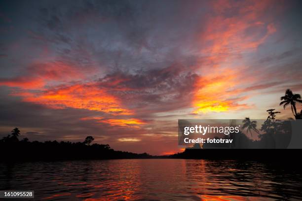 kinabatangan river, borneo, sabah state of malaysia - sabah stock pictures, royalty-free photos & images