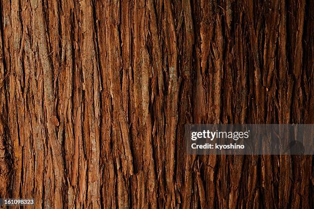 bark of cedar tree texture background - brown texture stock pictures, royalty-free photos & images