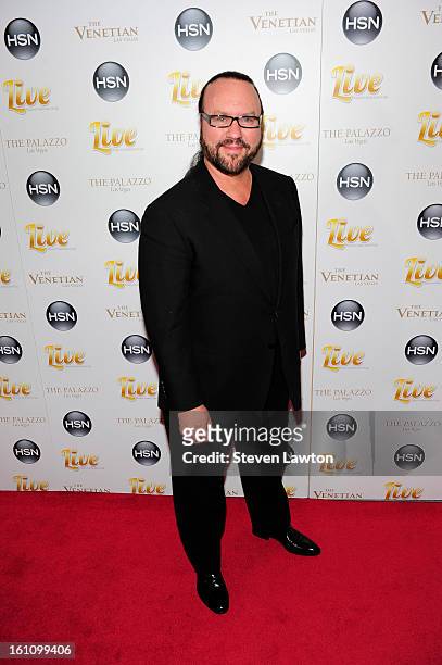 Musician/songwriter/producer Desmond Child arrives at the HSN Live Michael Bolton concert at The Venetian Resort Hotel Casino on February 8, 2013 in...