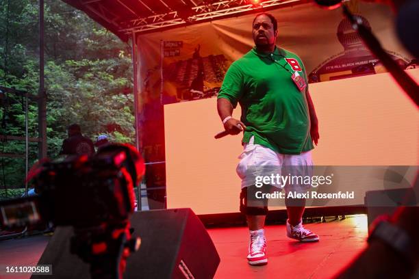 Bone Crusher performs at the fiftieth anniversary of Hip Hop block party near 1520 Sedgwick Ave on August 12, 2023 in The Bronx borough of New York...