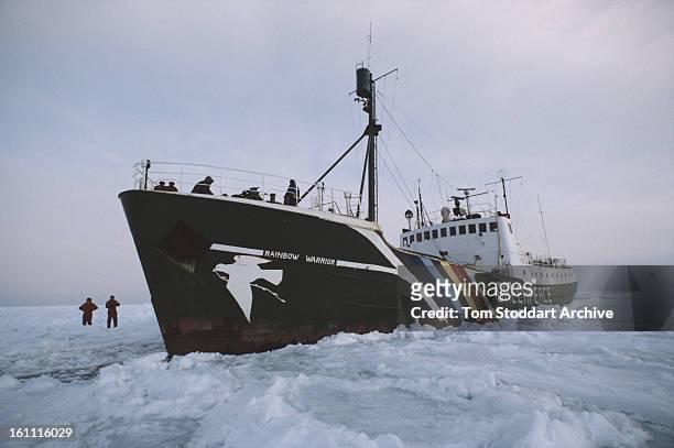 The Greenpeace vessel 'Rainbow Warrior' in the Gulf of St Lawrence, Canada, 1st March 1982.
