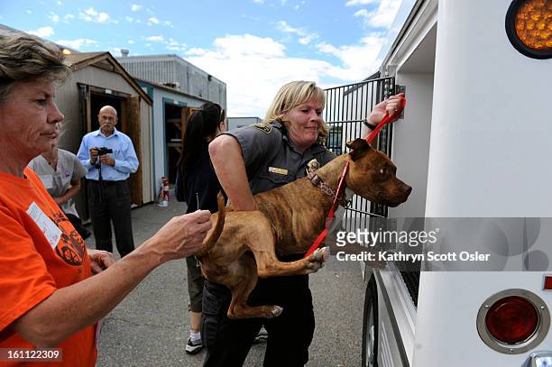 20 Foothills Animal Shelter Photos and Premium High Res Pictures - Getty  Images