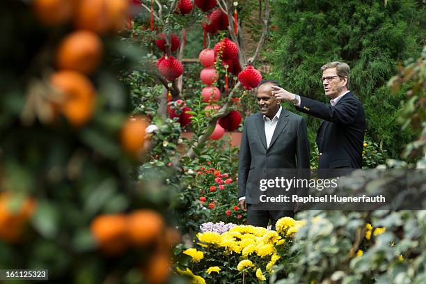 German Foreign Minister Guido Westerwelle and his Singaporean counterpart Kasiviswanathan Shanmugam walk in the Flower Dome at the Gardens by the Bay...