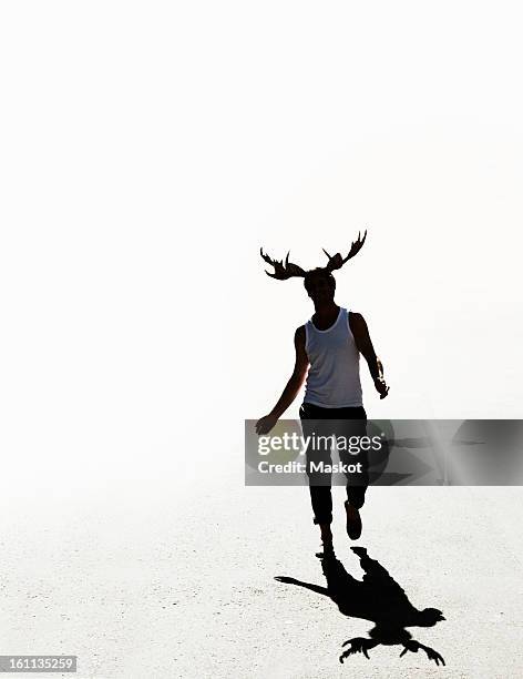 elk man walking - moose swedish stock pictures, royalty-free photos & images