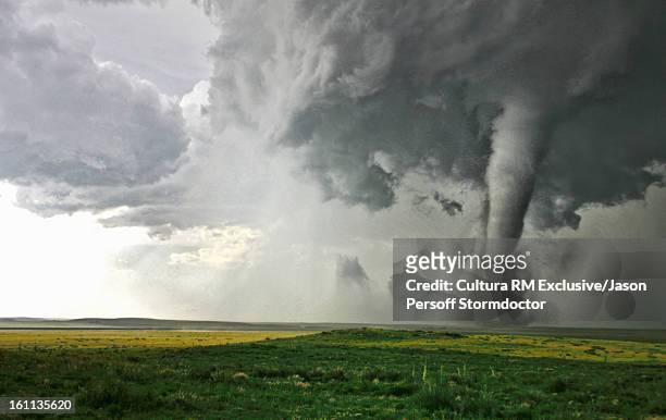 tornado column in rural landscape - tornado stockfoto's en -beelden