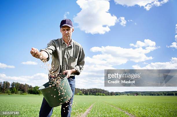 farmer sowing seeds in field - sembrar fotografías e imágenes de stock
