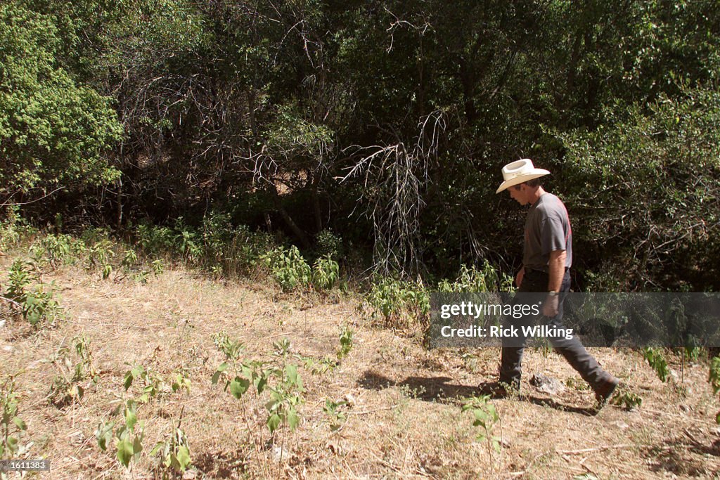 US President George W. Bush On Vacation