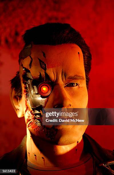 Wax replica of actor Arnold Schwarzenegger in the film "Terminator 2: Judgement Day is on display at the Hollywood Wax Museum August 28, 2001 in...