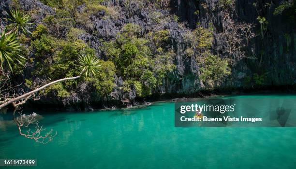woman paddling on a yellow canoe - el nido stockfoto's en -beelden
