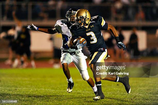 77 Scampered Stock Photos, High-Res Pictures, and Images - Getty Images