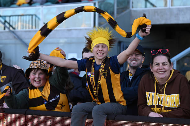 Hawks fans celebrate during the round 22 AFL match between Hawthorn Hawks and Western Bulldogs at University of Tasmania Stadium, on August 13 in...
