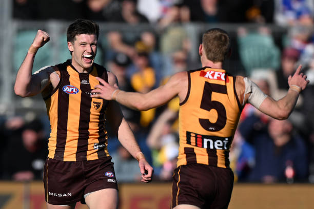 Mitch Lewis of the Hawks celebrates a goal during the round 22 AFL match between Hawthorn Hawks and Western Bulldogs at University of Tasmania...